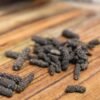 Poivre long du Népal Poivre choco - Les epices curieuses