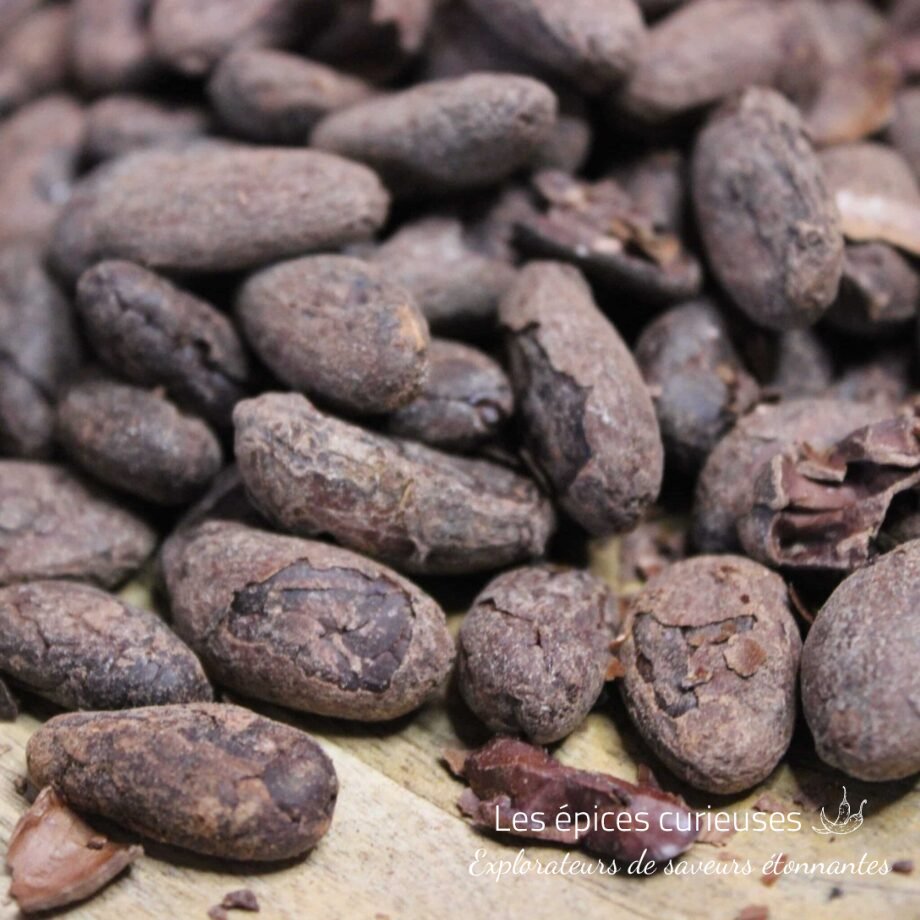 Fèves de Cacao Torréfiées Bio – Pérou