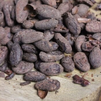 feves-de-cacao-torrefiees-bio-perou