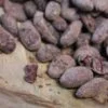 Fèves de Cacao Torréfiées Bio – Pérou