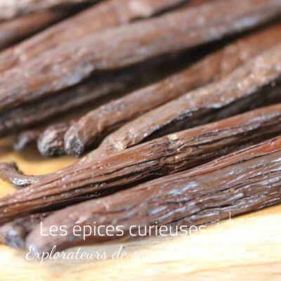 Vanille bourbon de Madagascar - Les épices curieuses