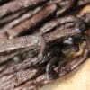 Vanille bourbon de Madagascar - Les épices curieuses