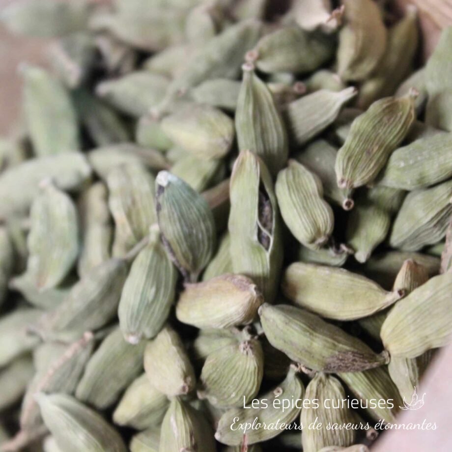 Cardamome verte en graines entière bio - Les épices curieuses