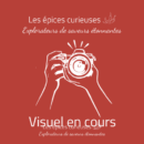 Visuel en cours - Les épices curieuses
