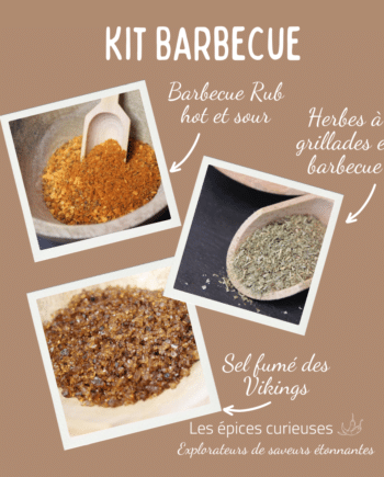 Kit Barbecue - Les épices curieuses