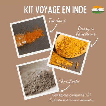 Kit Voyage en Inde - Les épices curieuses