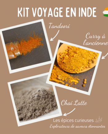 Kit Voyage en Inde - Les épices curieuses