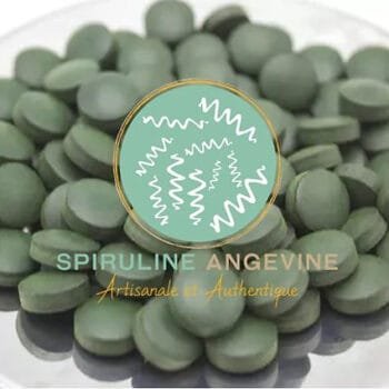 comprimés de pure spiruline crue déshydratée - Spiruline Angevine - Les épices curieuses