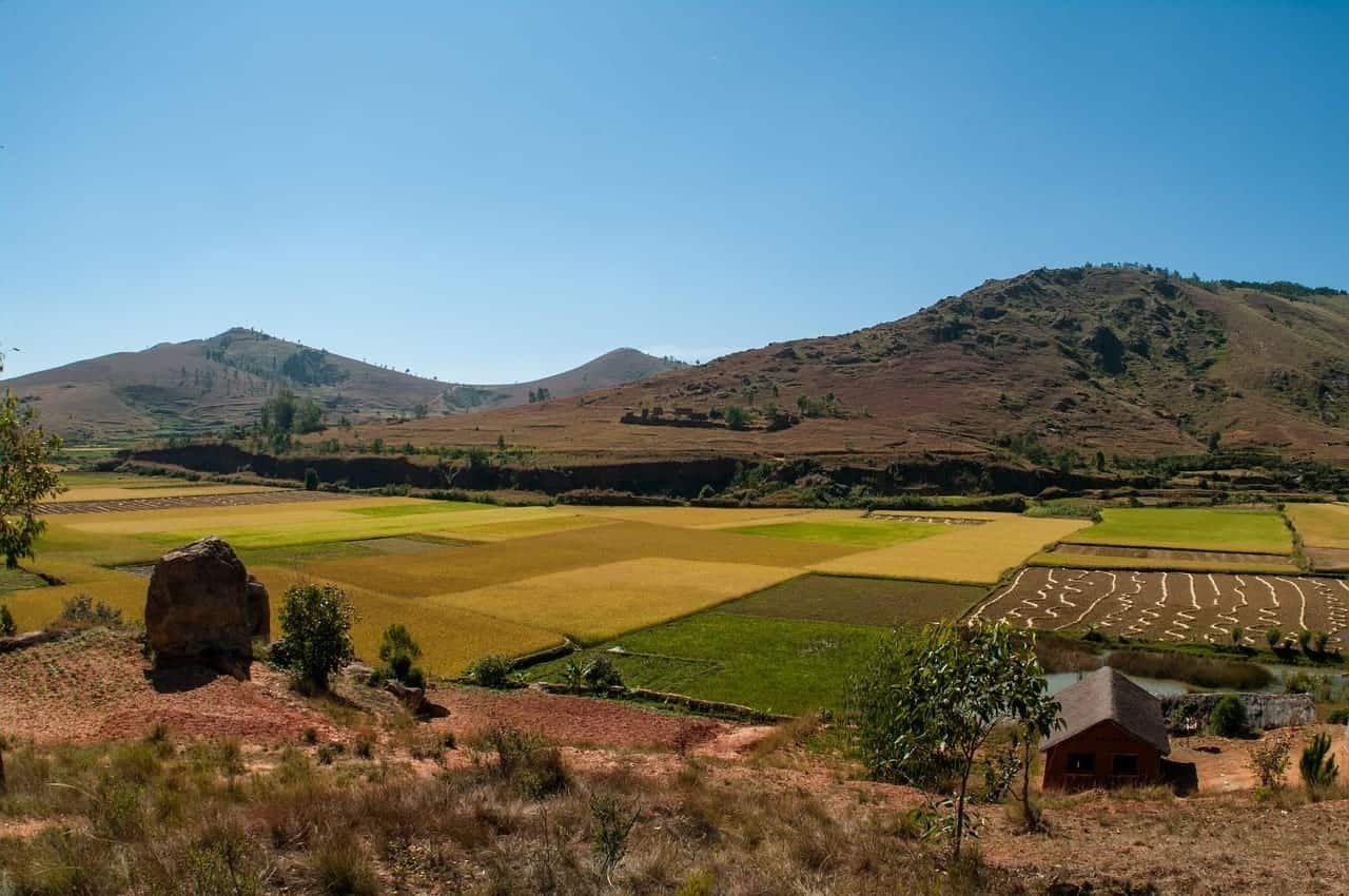 Paysage rural avec champs colorés et collines sous un ciel bleu clair.