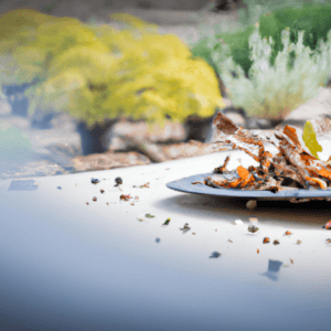 6 épices pour sublimer votre menu de Noël- Les épices curieuses