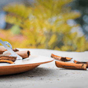 Comment utiliser la cannelle dans vos recettes hivernales sucrées et salées- Les épices curieuses