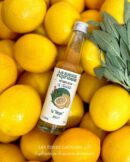 La Meyer x Le Cellier - Les épices curieuses