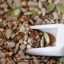 Graines gourmandes bio, assemblage de graines savoureuses pour une dégustation saine et naturelle.