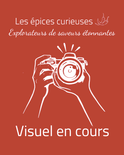 Assemblage Coréen – Piment & Umami - Les épices curieuses