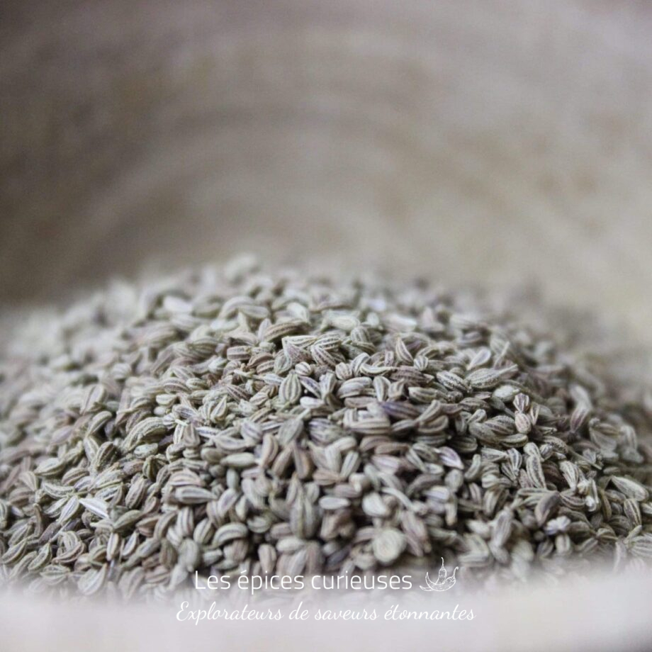 Ajowan Cumin royal - Les épices curieuses