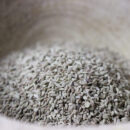 Ajowan ou cumin royal - Les épices curieuses