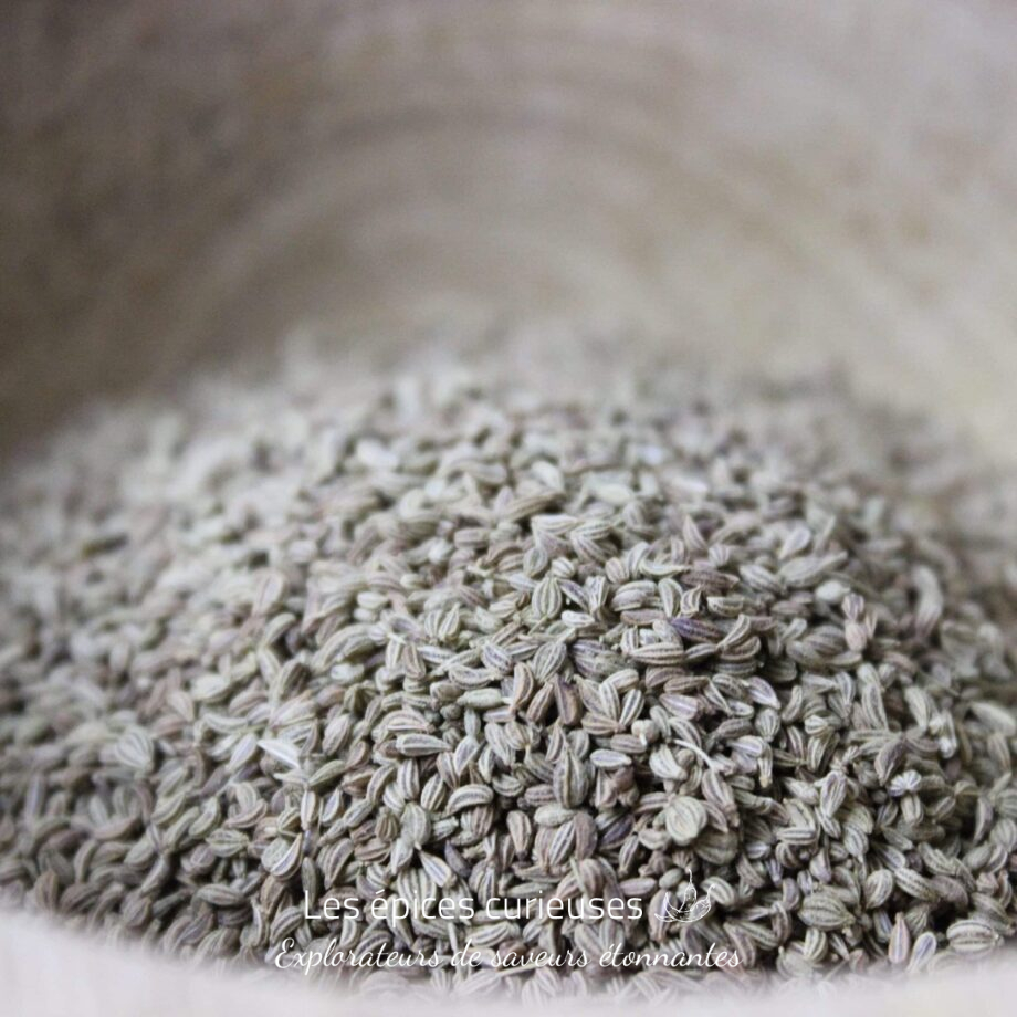 Ajowan ou cumin royal - Les épices curieuses