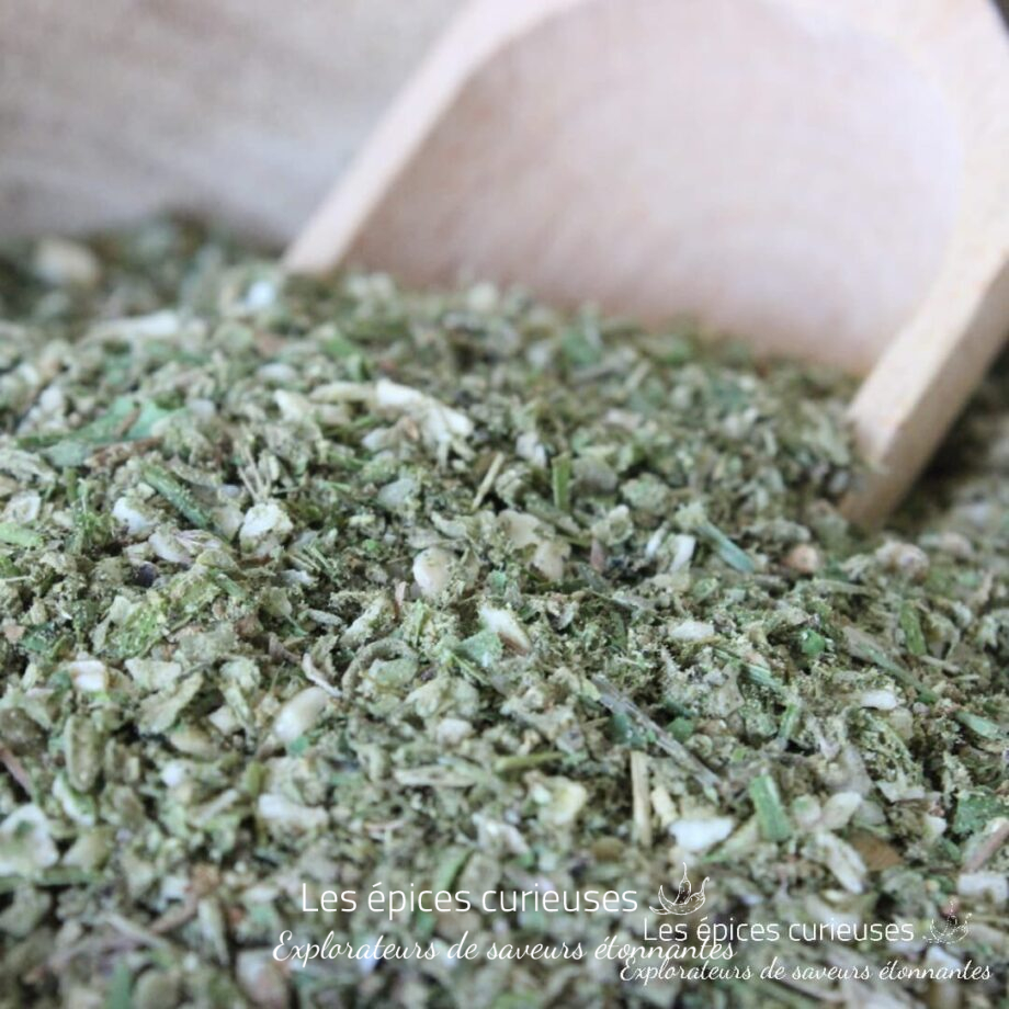 Assemblage Courgette - Les épices curieuses