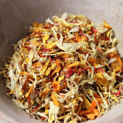 Soleil d’Or - Fleurs comestibles - Les épices curieuses