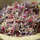 Harmonie– Fleurs comestibles - Les épices curieuses