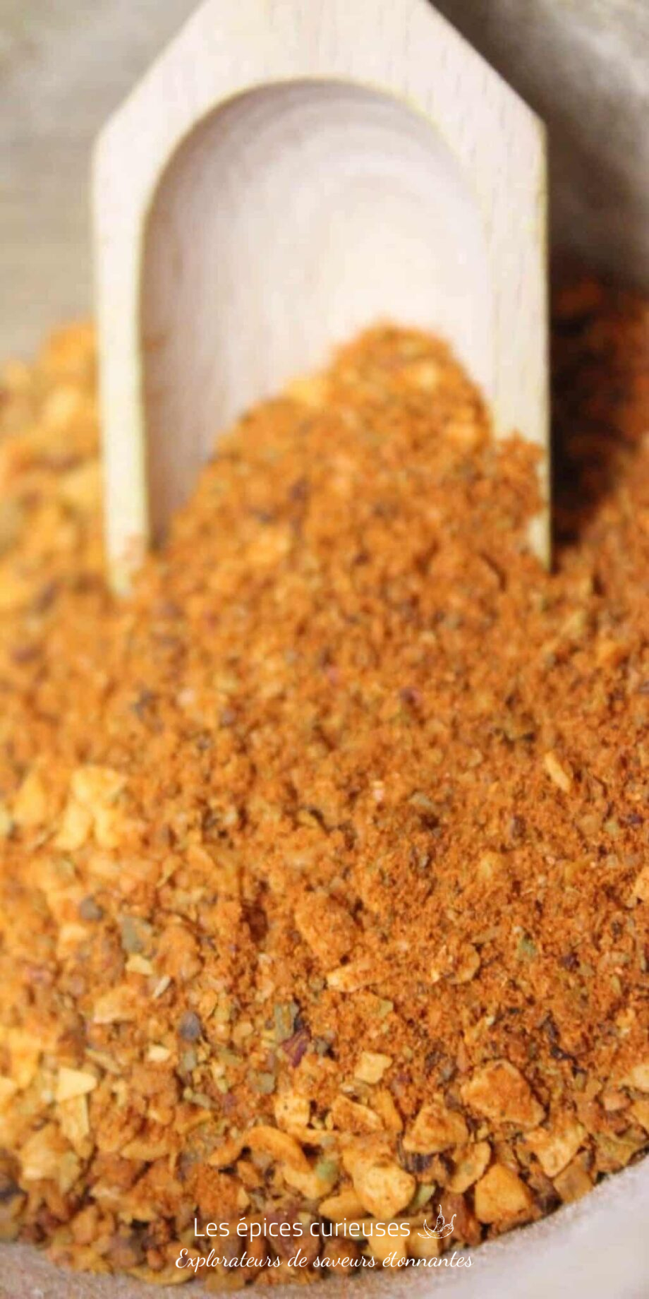BBQ Rub hot and sour - Les épices curieuses