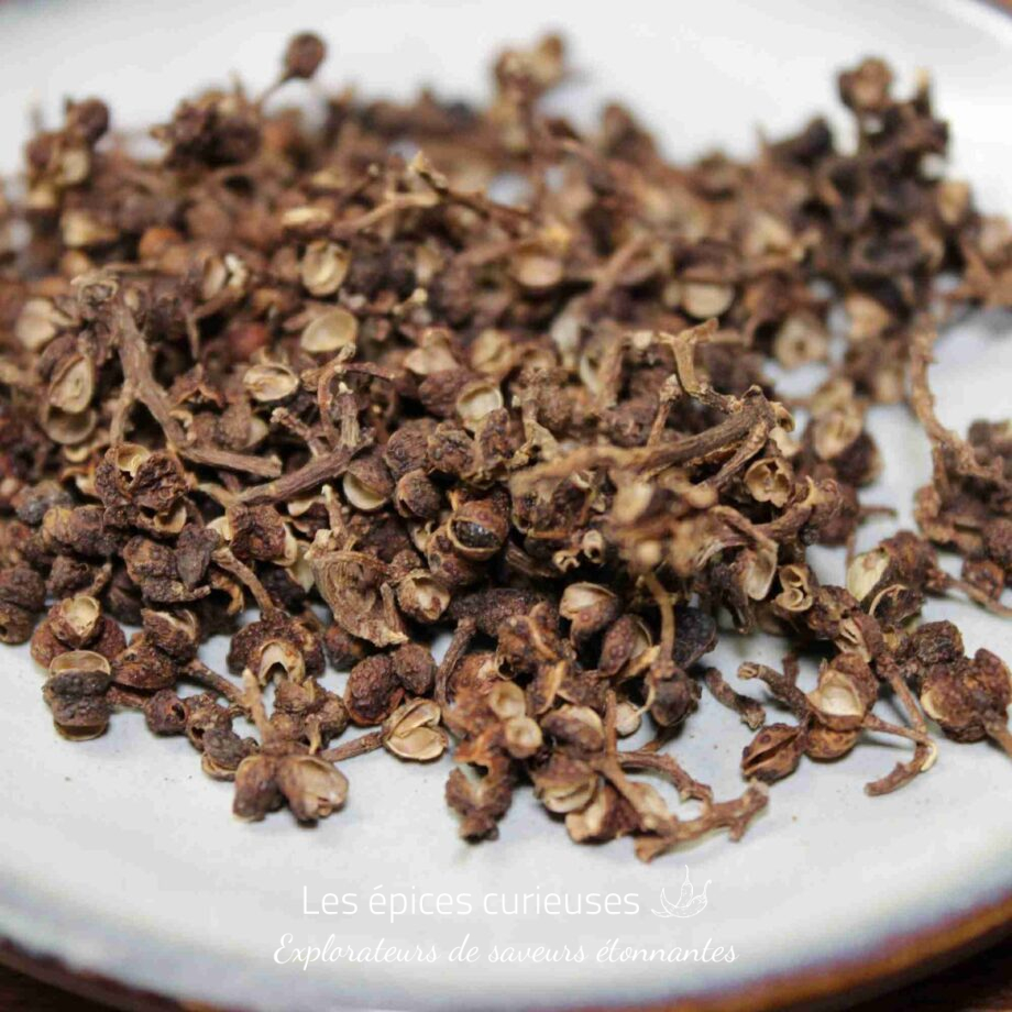 Poivre de Sichuan séché sur une assiette blanche, prêt à rehausser la saveur de vos plats.