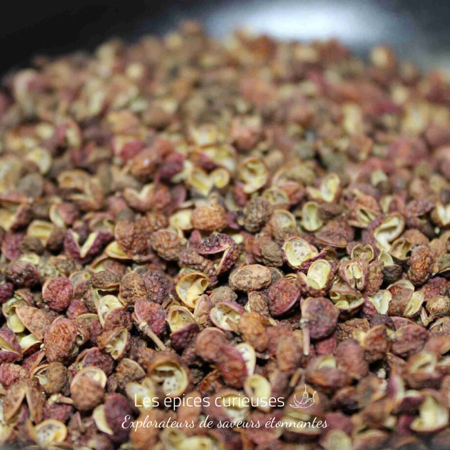 Gros plan de baies de poivre du Sichuan séchées, ingrédient aromatique utilisé dans la cuisine asiatique.