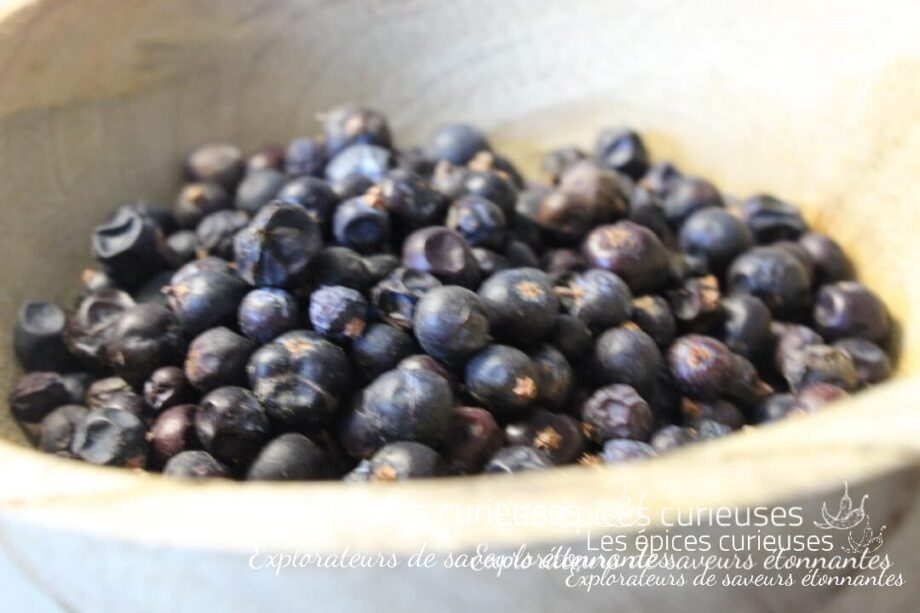 Baie de Genièvre - Les épices curieuses