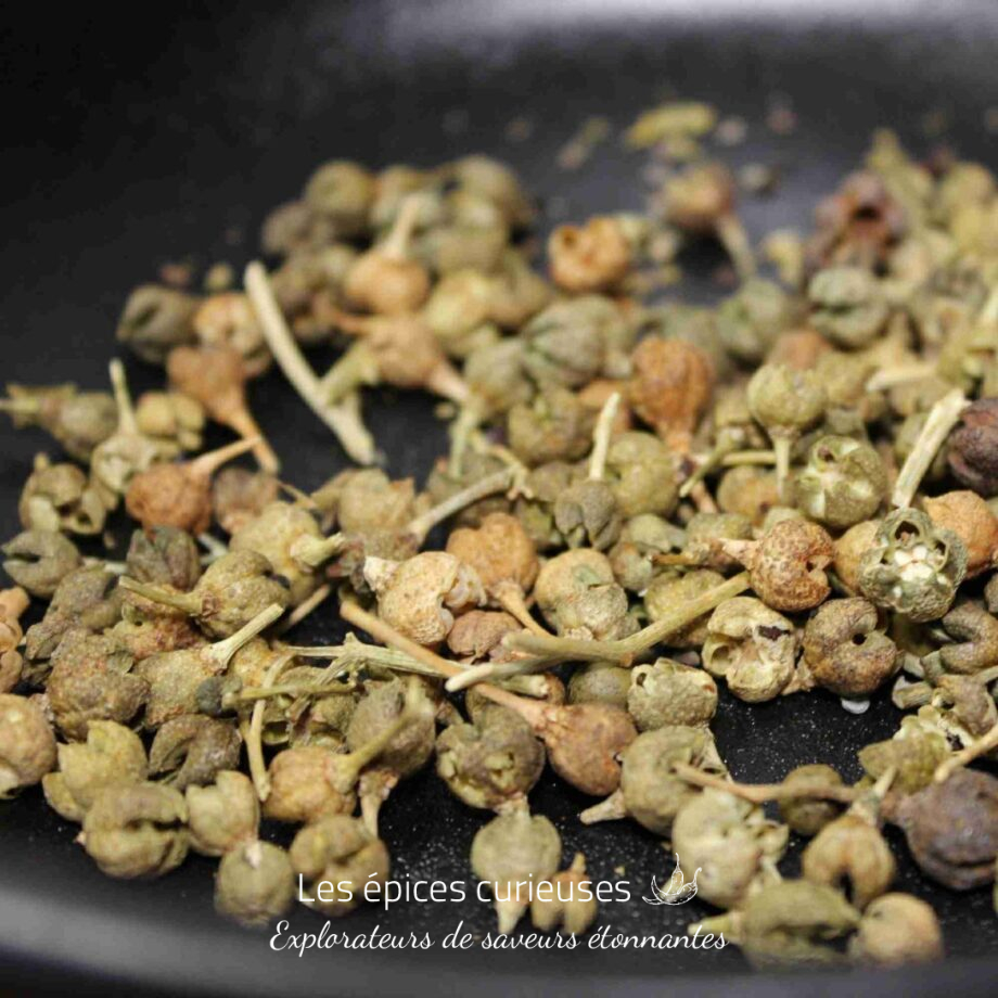 Baies séchées de poivre de Sichuan sur fond sombre, utilisées pour la cuisine asiatique et leurs propriétés uniques.