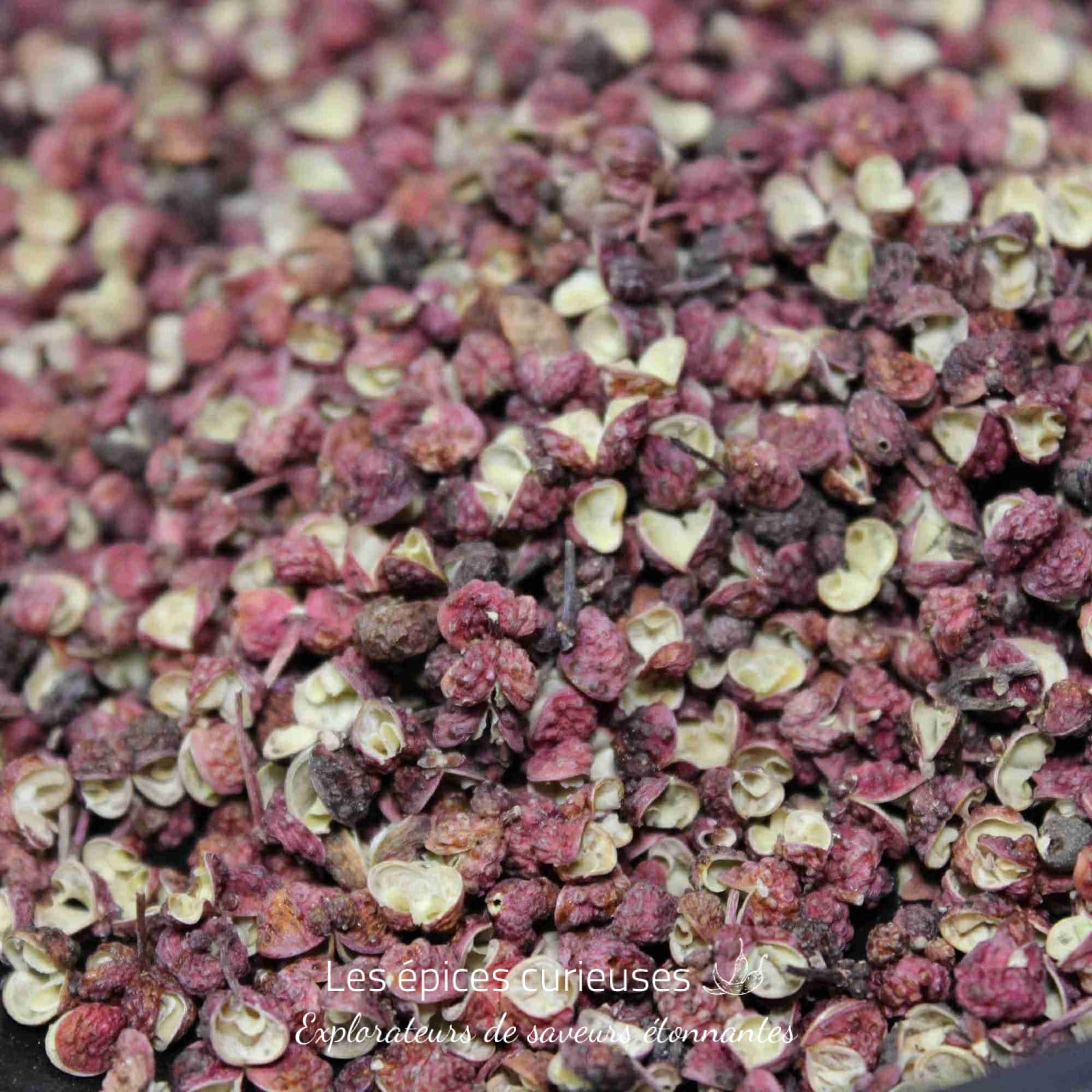 Gros plan sur des grains de poivre du Sichuan séchés, épice aromatique populaire en cuisine asiatique et saveurs épicées.