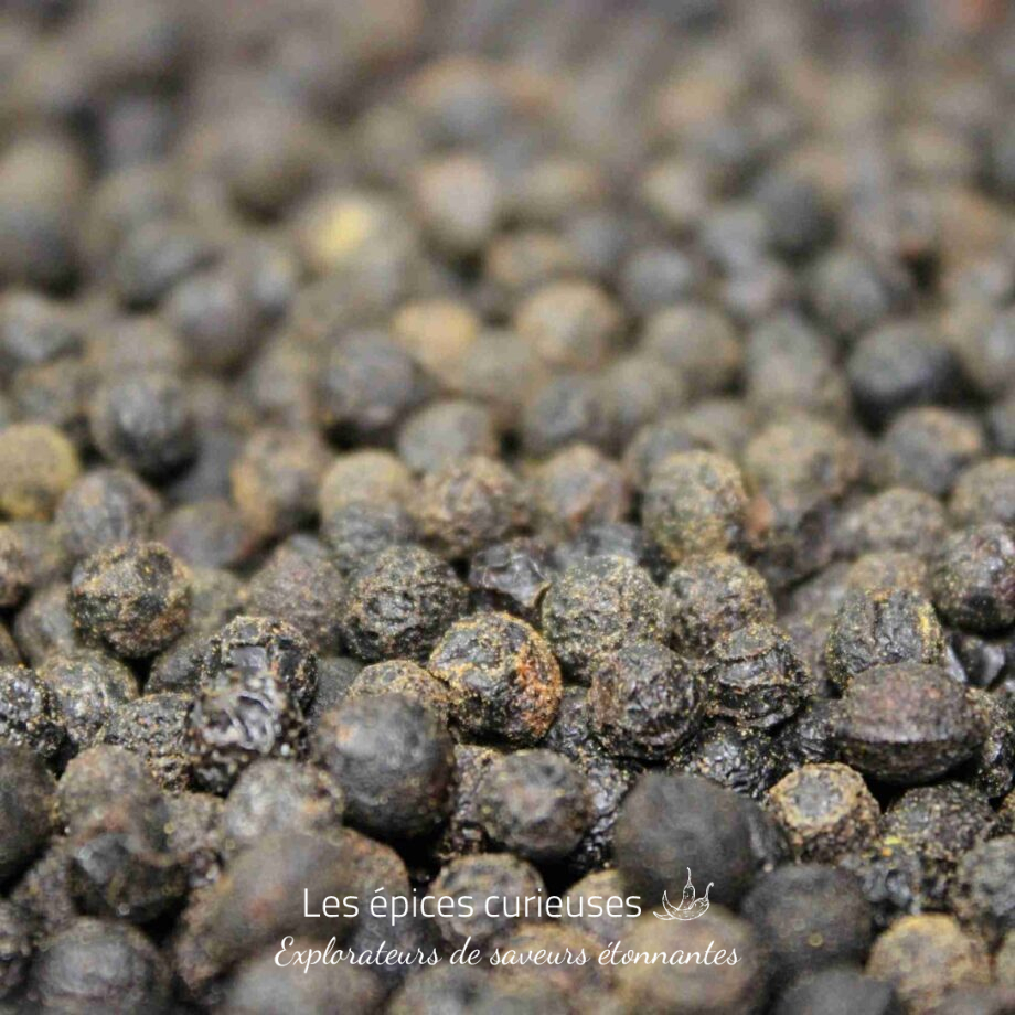 Grains de poivre noir en gros plan, épice aromatique essentielle pour relever vos plats culinaires.