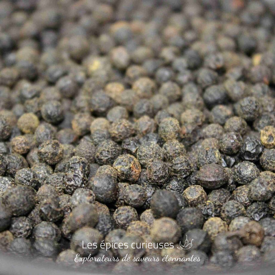 Grains de poivre noir vraisemblablement entiers, pris en gros plan, idéals pour aromatiser divers plats culinaires.