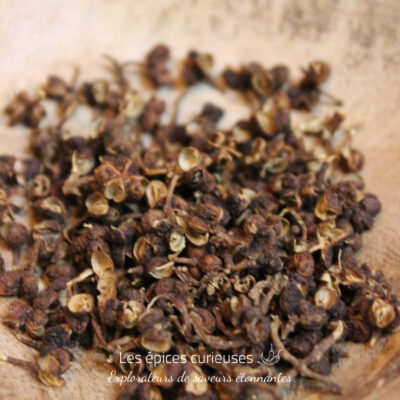 Baie des Bataks ou Baie de Samosir - Les épices curieusess