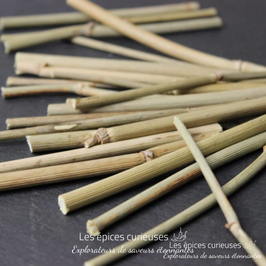 Brin de Fenouil - Les épices curieuses