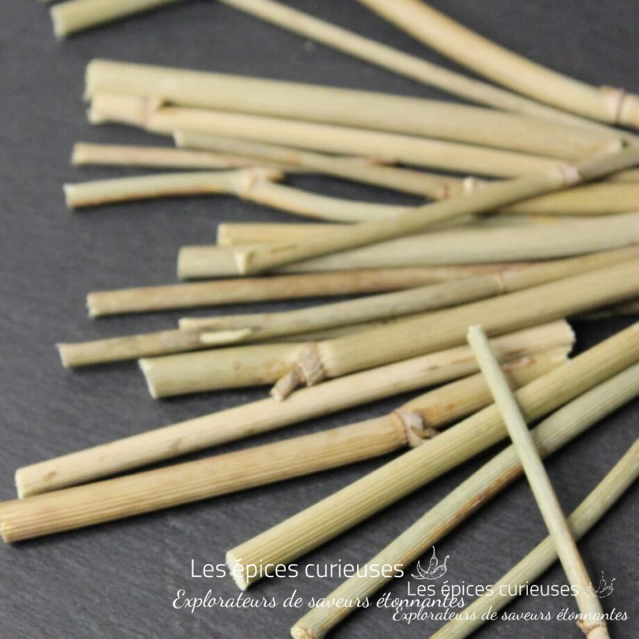 Brins de fenouil - Les épices curieuses