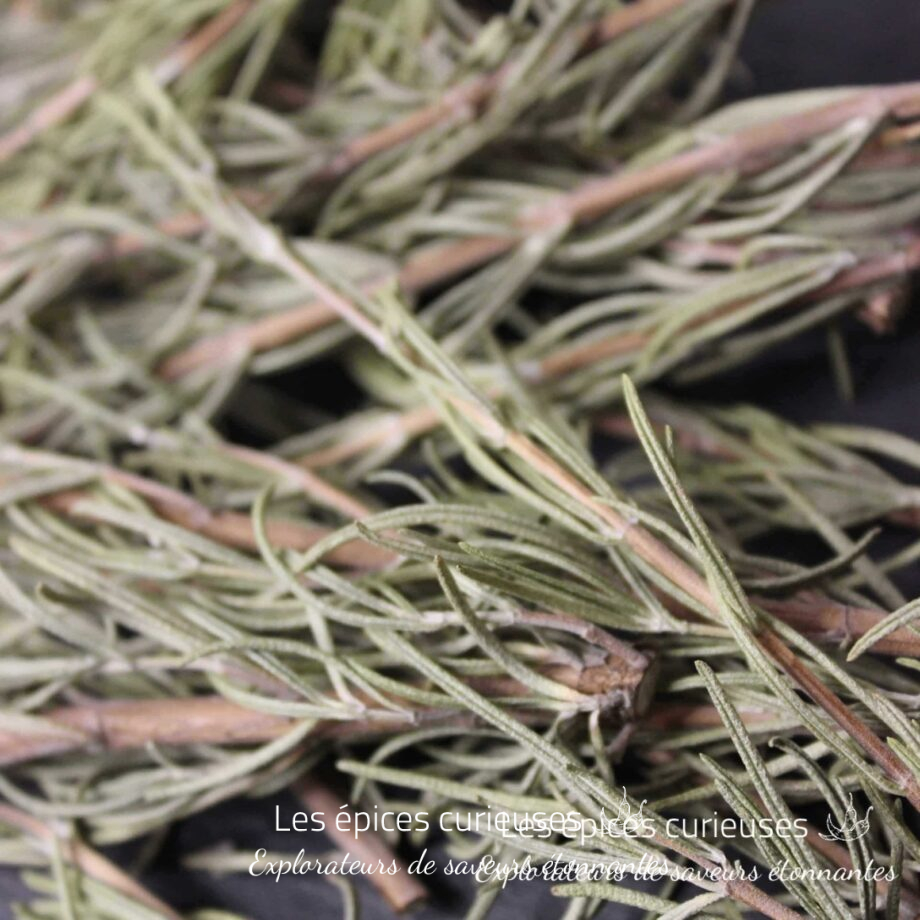 Brins de romarin - Les épices curieuses