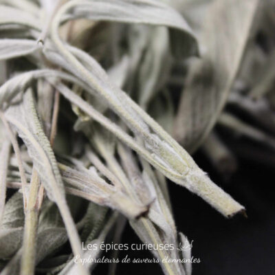 Brins de sauge - Les épices curieuses