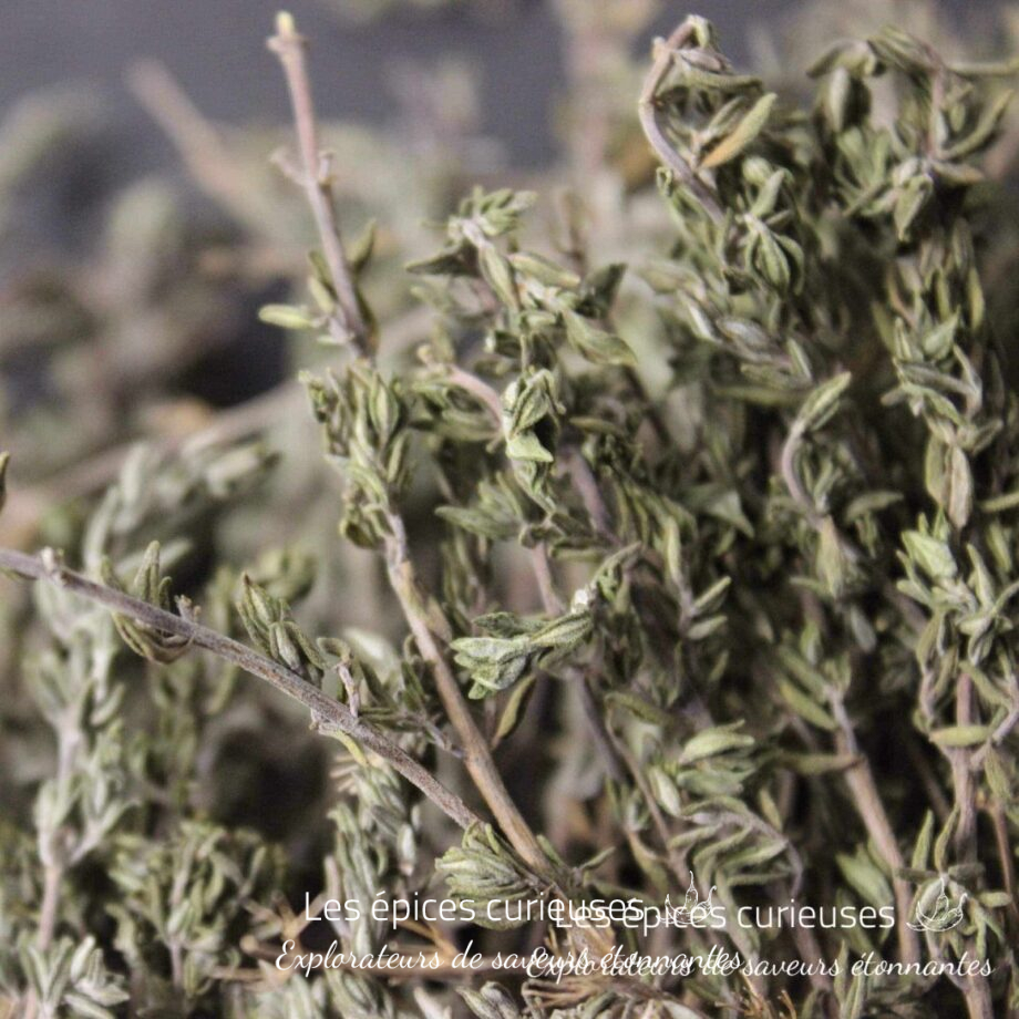 Brins de thym - Les épices curieuses