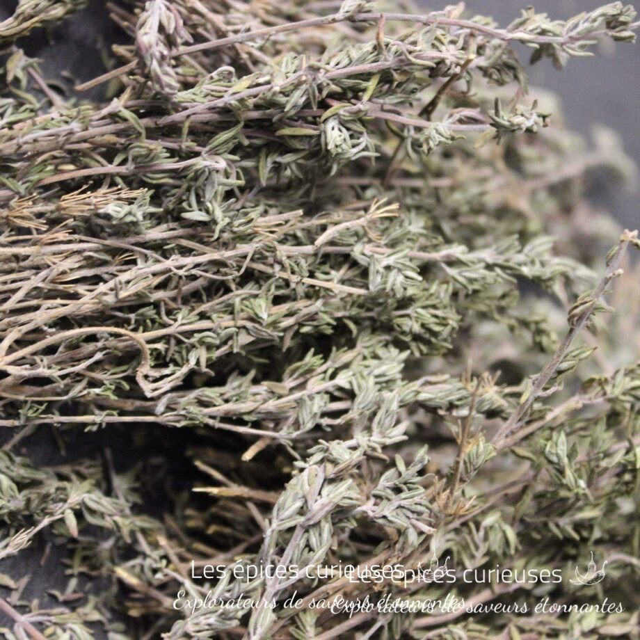 Brins de thym - Les épices curieuses