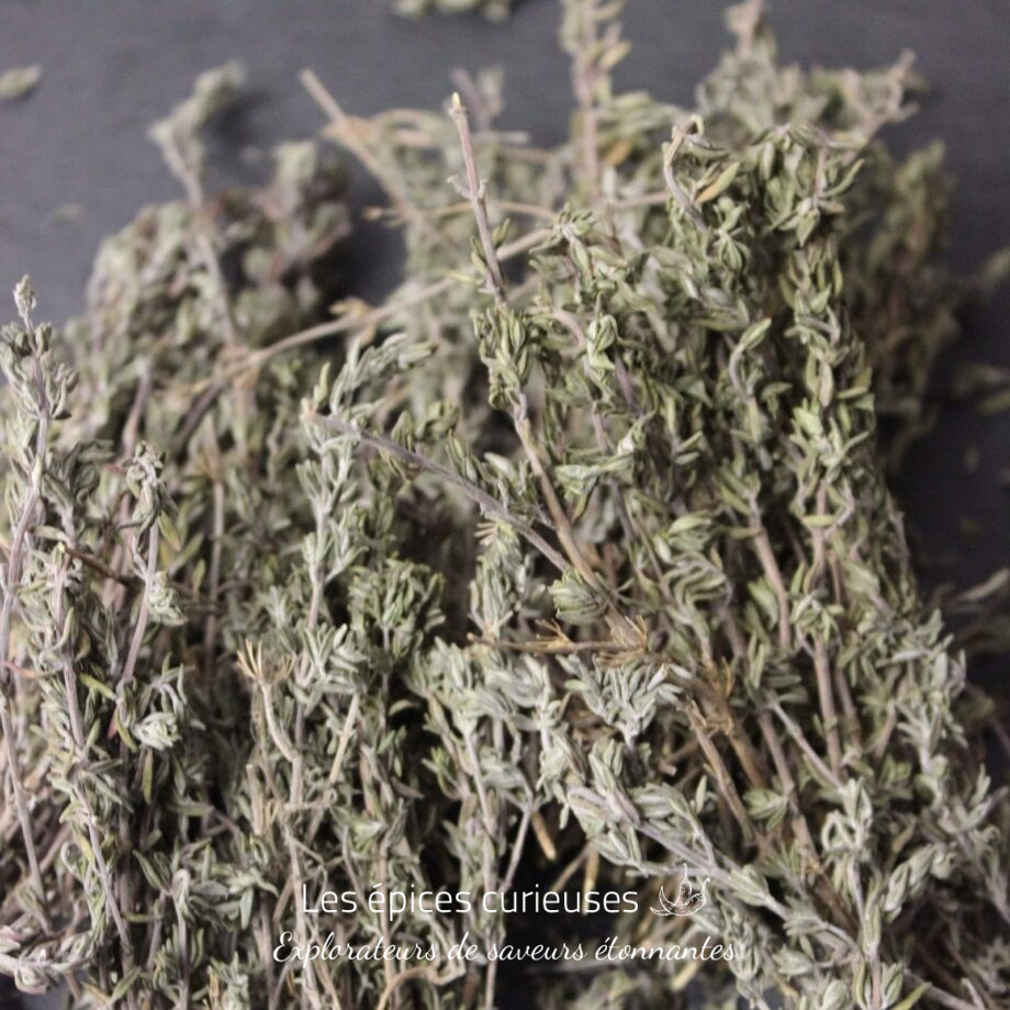 Brin de thym - Les épices curieuses