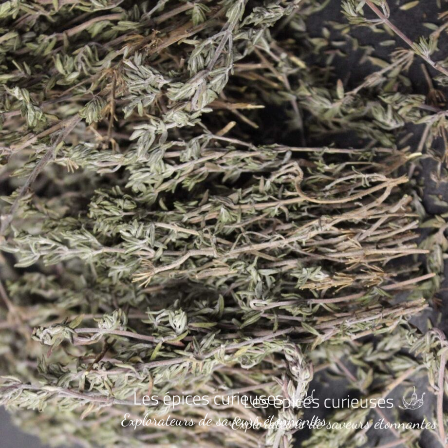 Brins de thym - Les épices curieuses