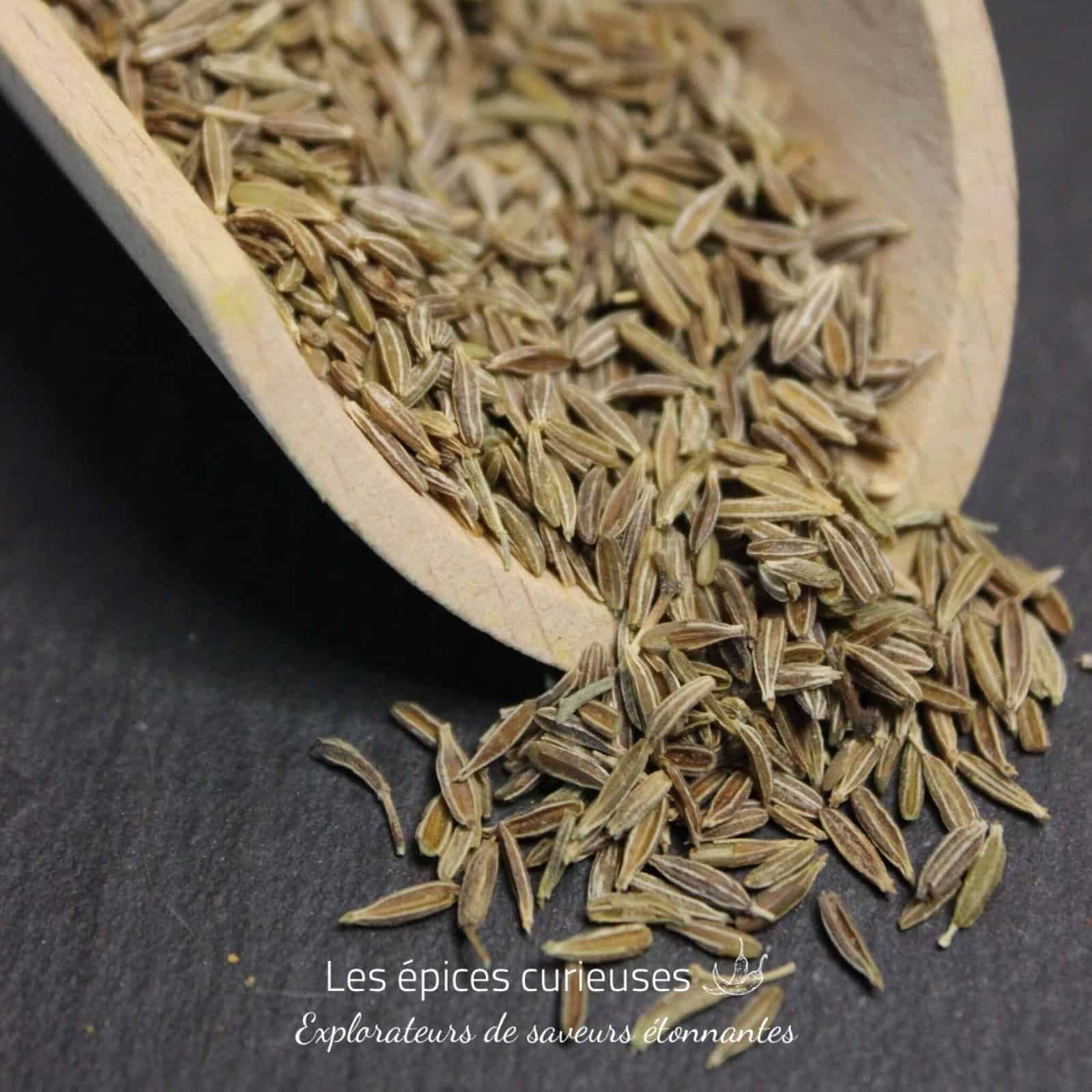 Cumin en graines - Les épices curieuses