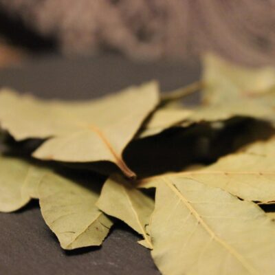 Feuilles de Laurier - Les épices curieuses