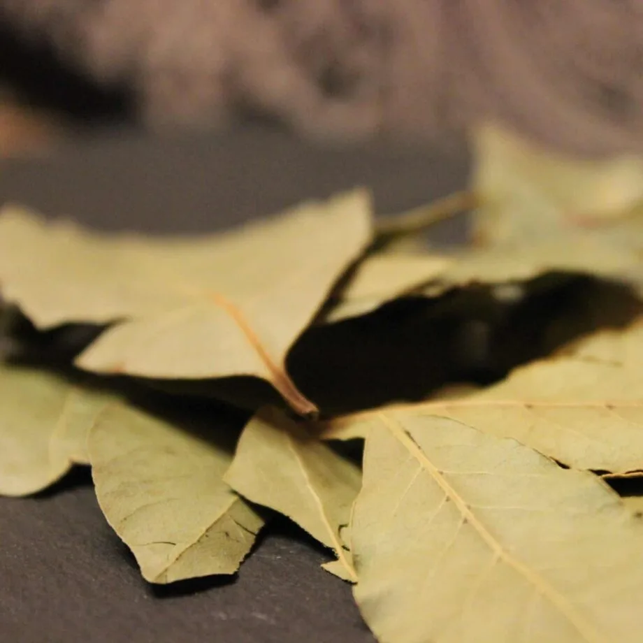 Feuilles de Laurier - Les épices curieuses