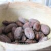 Fèves Cacao Trinitario - Les épices curieuses