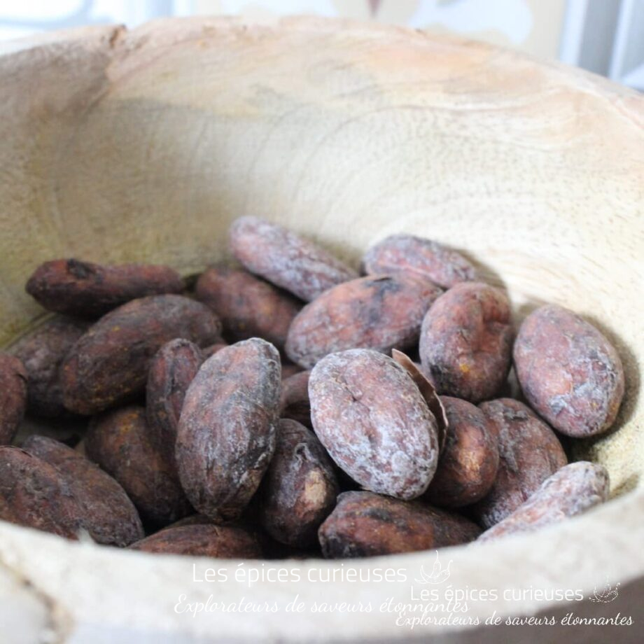 Fèves Cacao Trinitario - Les épices curieuses
