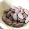 Fèves de cacao Trinitario premium - Les épices curieuses