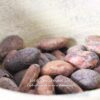 Fèves de cacao Criollo - Les épices curieuses