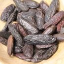 Fèves Tonka Entières - Les épices curieuses