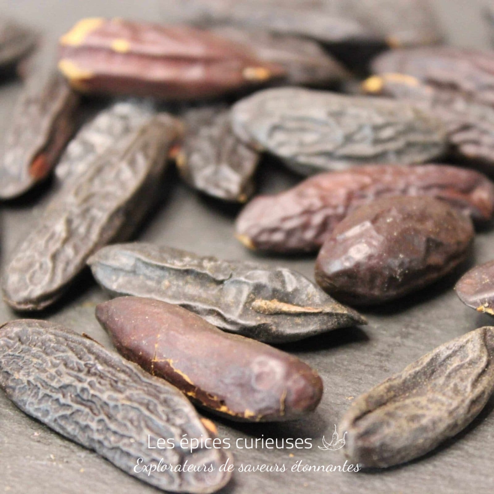 Fèves de tonka - Les épices curieuses
